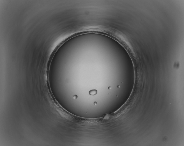 X0000090751328200708031559