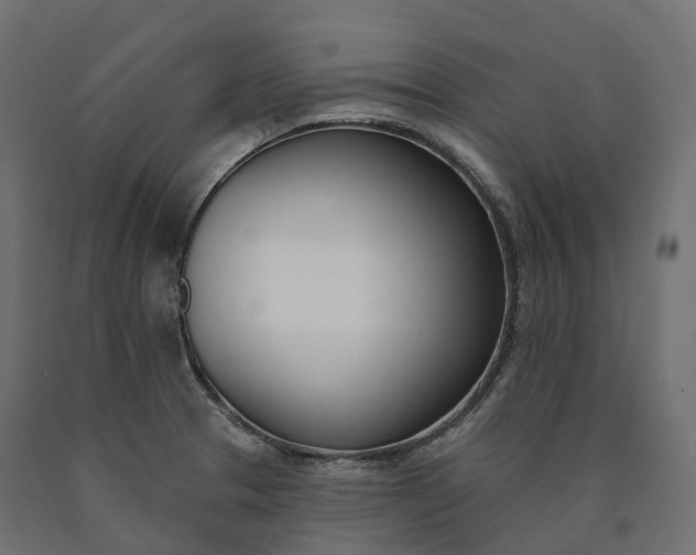 X0000090751329200708031559