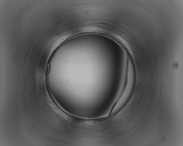 X0000090751330200708031559