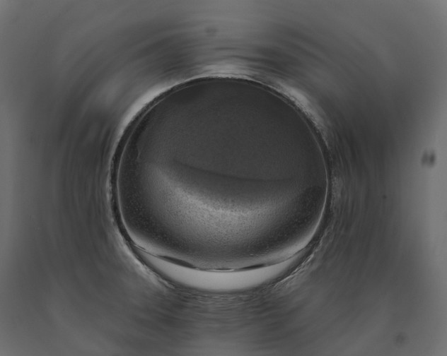 X0000090751331200708031559