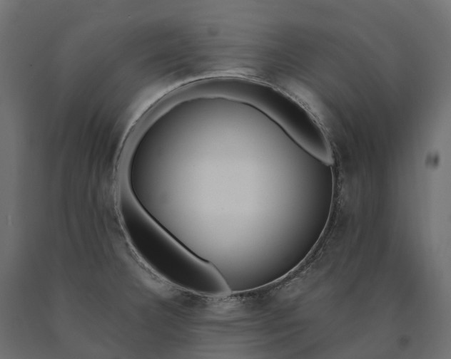 X0000090751332200708031559