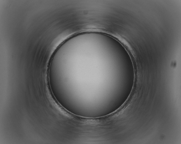 X0000090751333200708031559