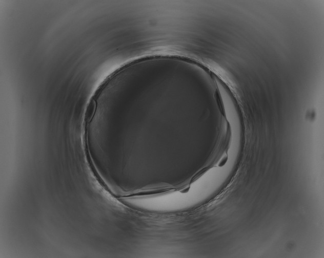 X0000090751334200708031559