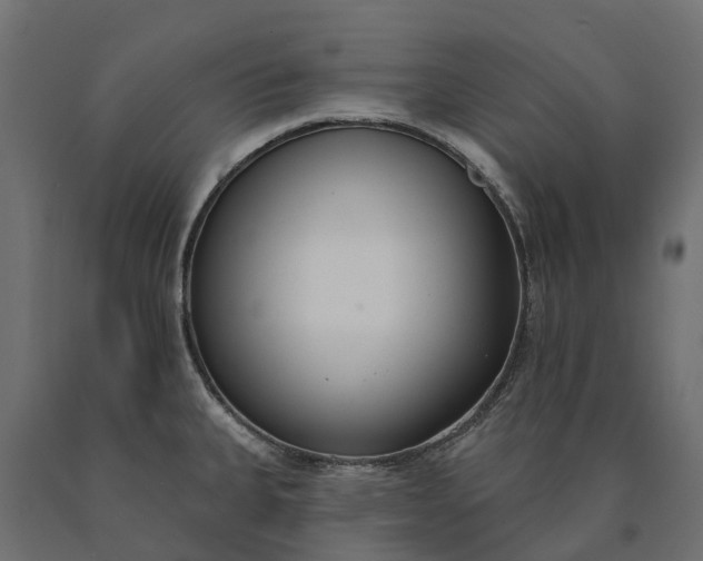 X0000090751335200708031559