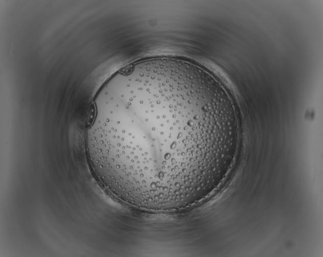 X0000090751337200708031559