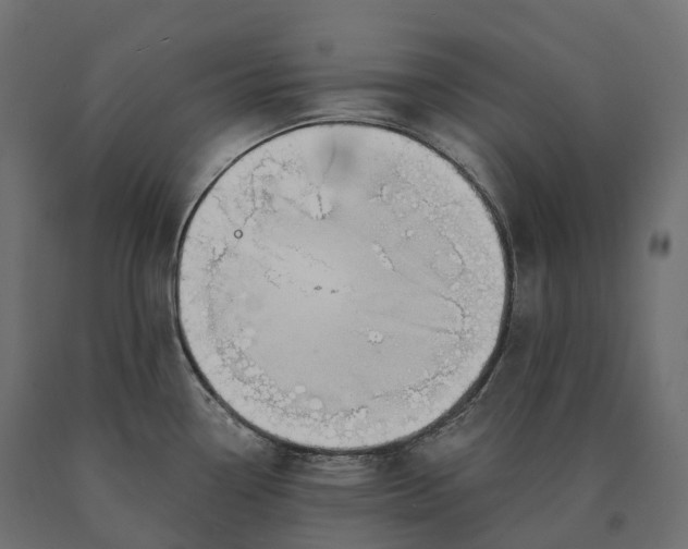 X0000090751338200708031559