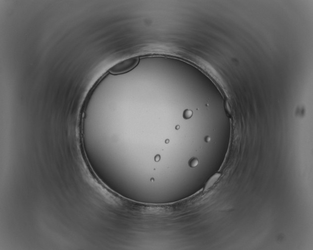 X0000090751339200708031559