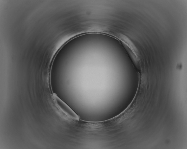 X0000090751340200708031559