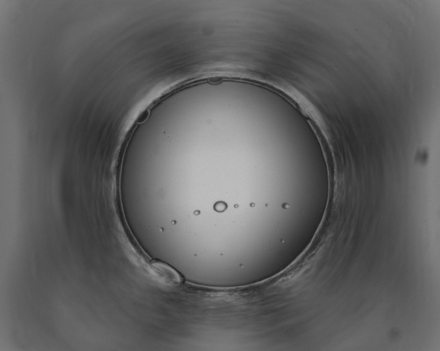 X0000090751341200708031559