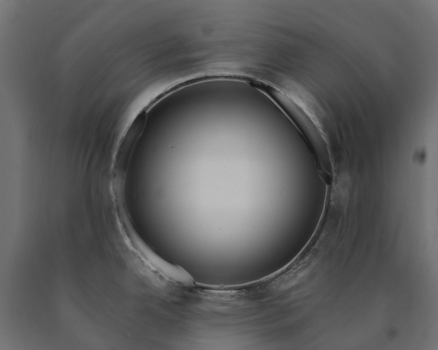 X0000090751342200708031559