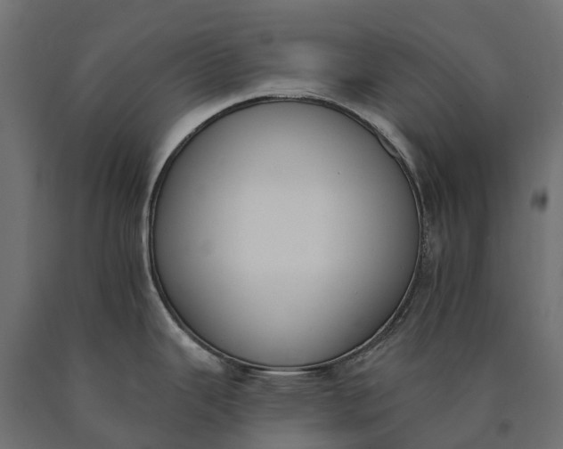 X0000090751343200708031559