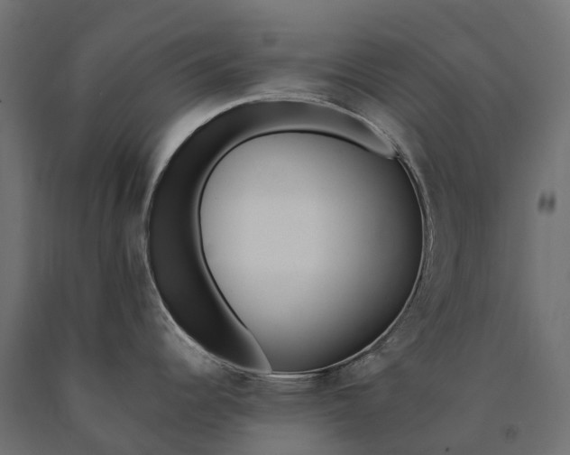 X0000090751344200708031559