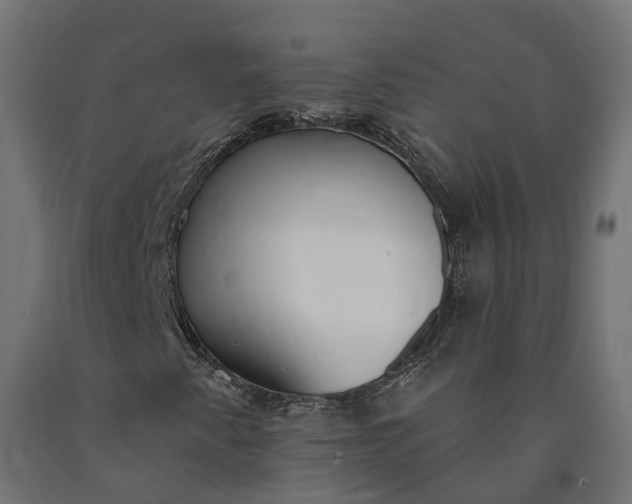 X0000090751345200708031559