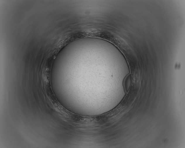 X0000090751346200708031559