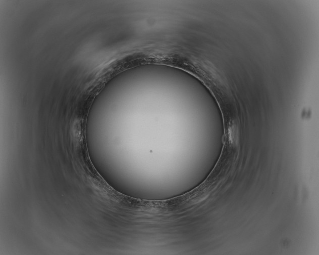 X0000090751347200708031559