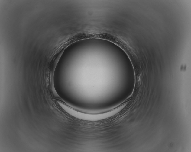 X0000090751348200708031559