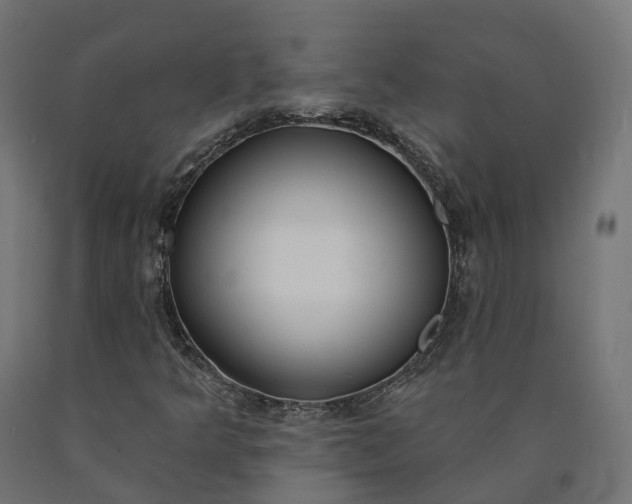 X0000090751349200708031559