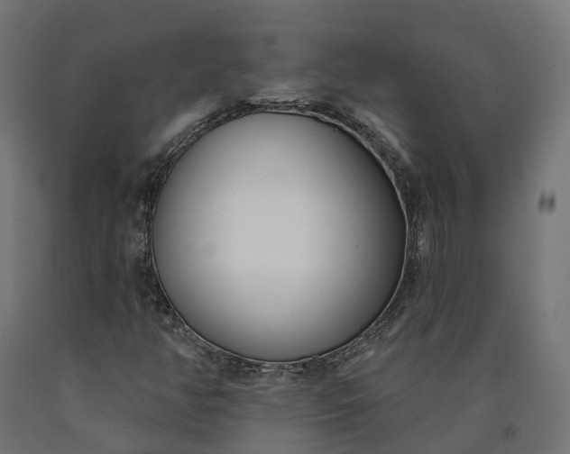 X0000090751350200708031559