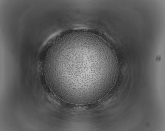 X0000090751351200708031559