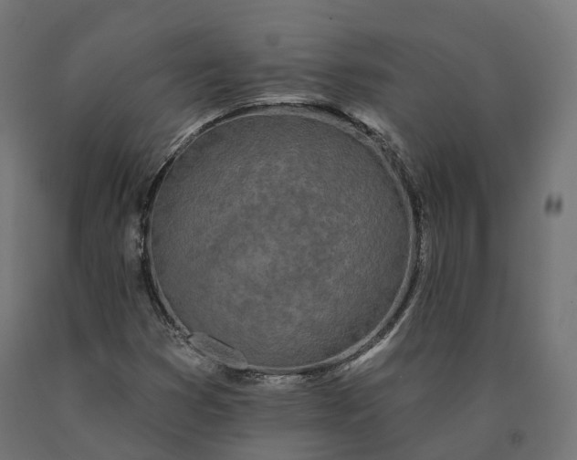 X0000090751353200708031558