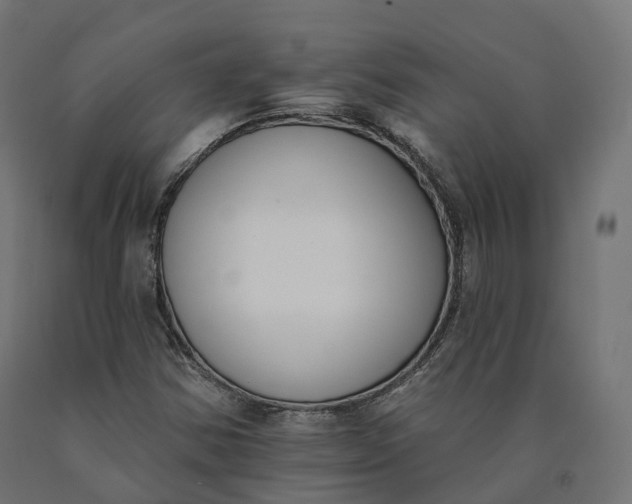 X0000090751354200708031558