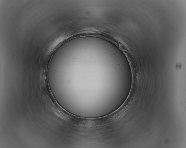 X0000090751355200708031558