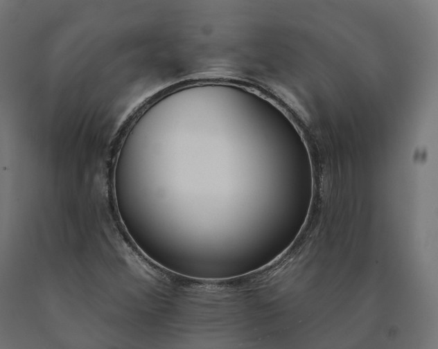 X0000090751356200708031558