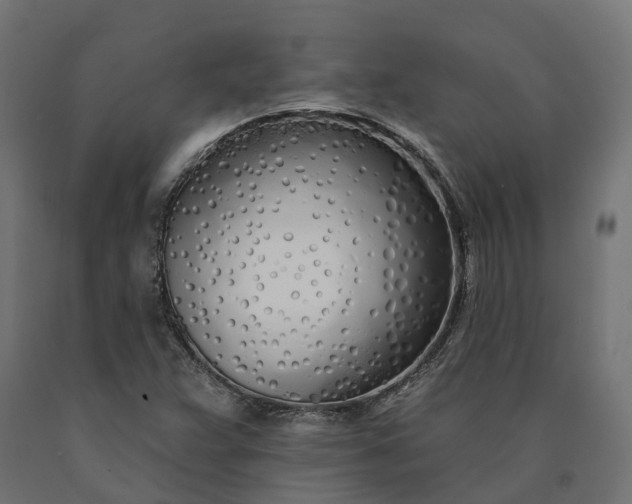 X0000090751359200708031558