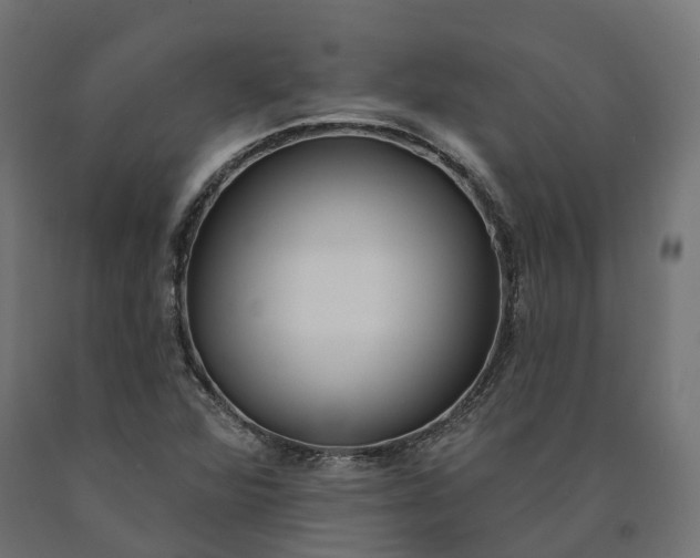 X0000090751360200708031558