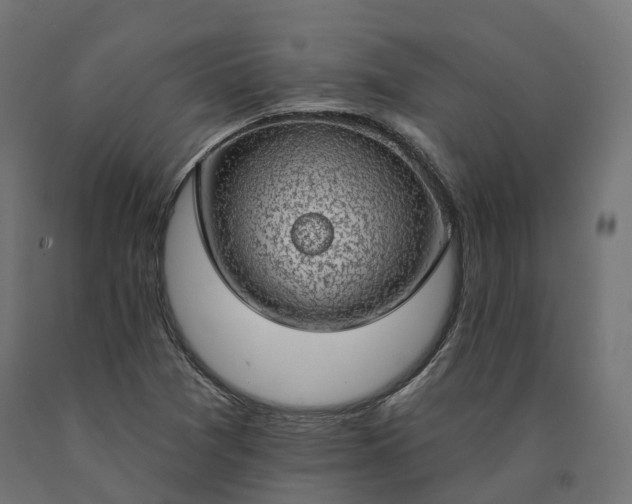 X0000090751361200708031558