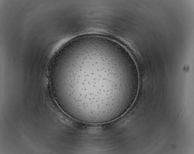 X0000090751363200708031558