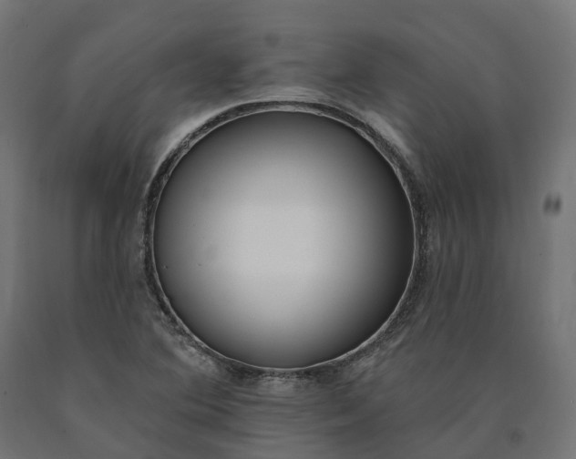 X0000090751364200708031558