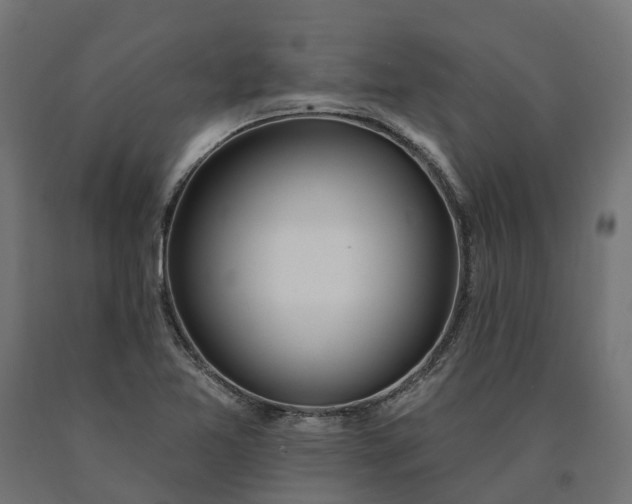 X0000090751365200708031558