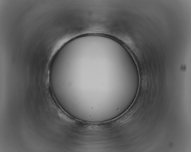 X0000090751366200708031558