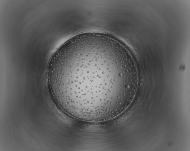 X0000090751367200708031558