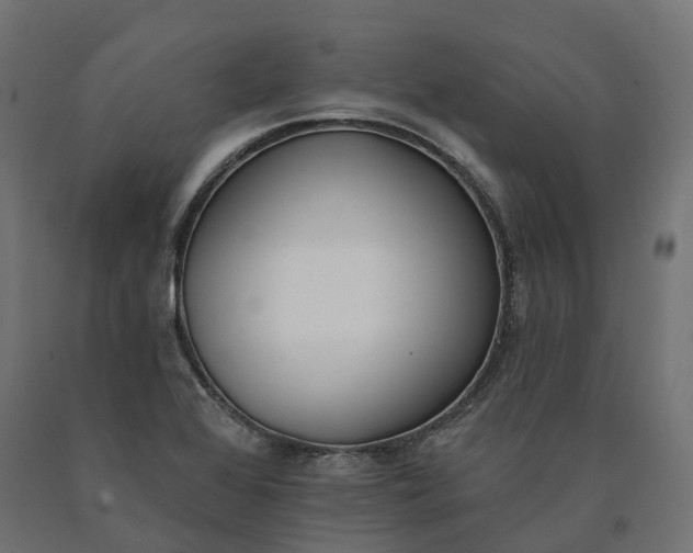 X0000090751368200708031558