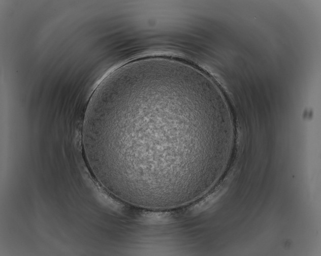 X0000090751369200708031558