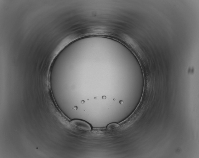 X0000090751370200708031558