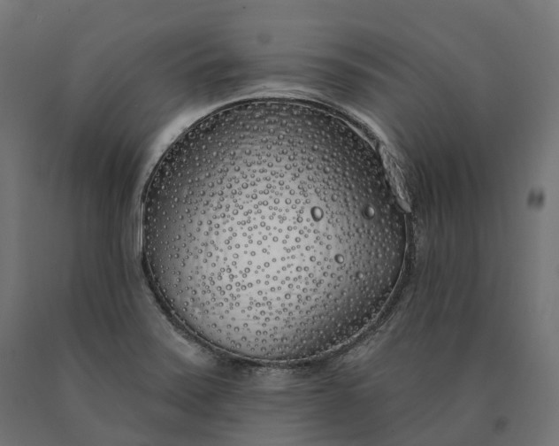 X0000090751371200708031558