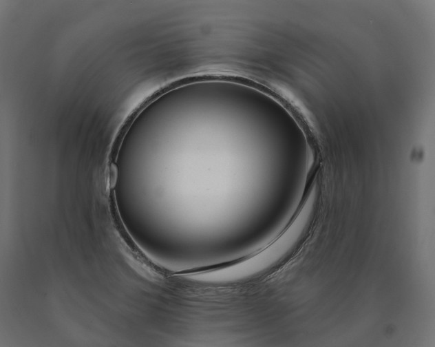 X0000090751372200708031558