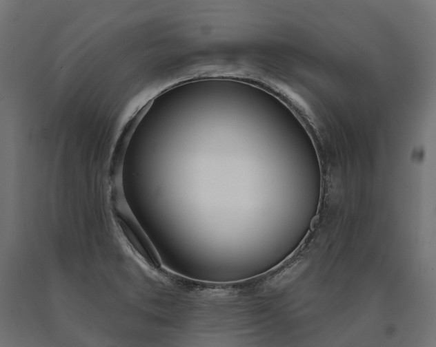 X0000090751373200708031558