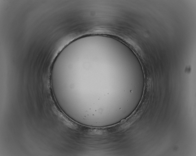 X0000090751374200708031558