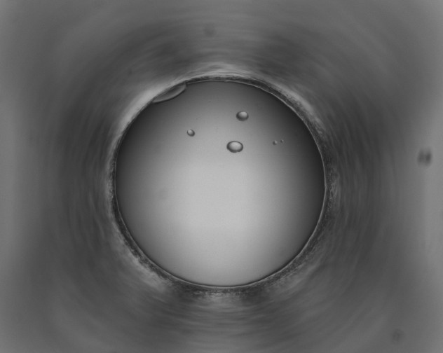 X0000090751375200708031558