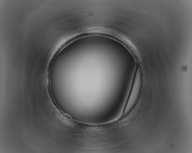 X0000090751376200708031558