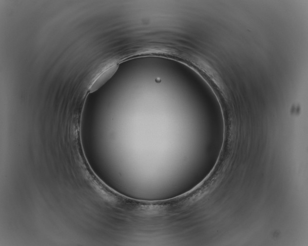 X0000090751377200708031558