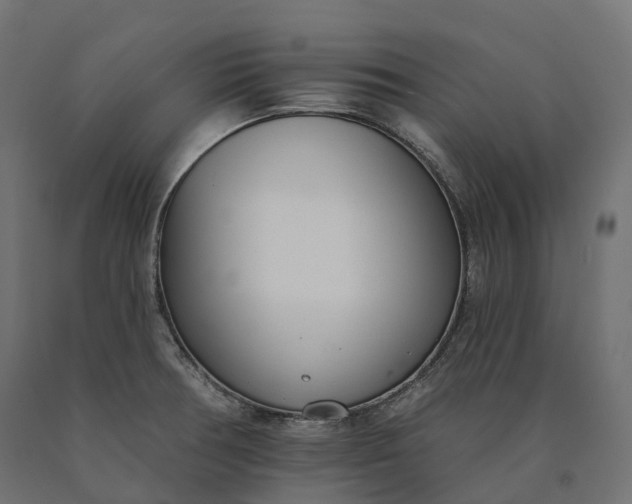 X0000090751378200708031558