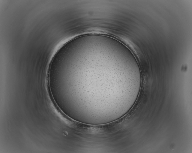 X0000090751379200708031558