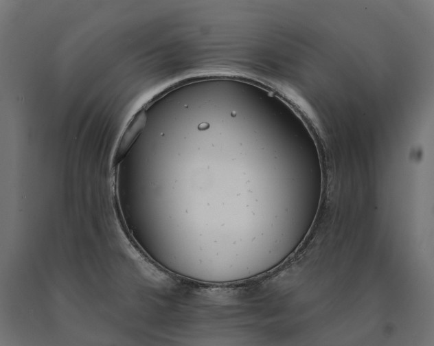 X0000090751380200708031558