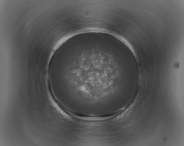 X0000090751381200708031558