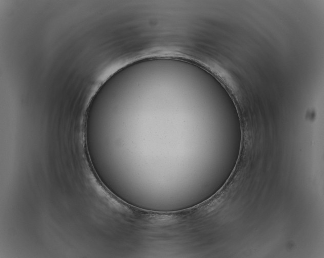 X0000090751382200708031558